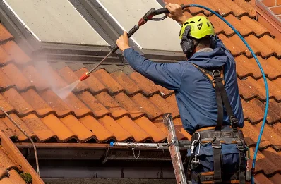 Démoussage et hydrofuge de toiture à Noirétable